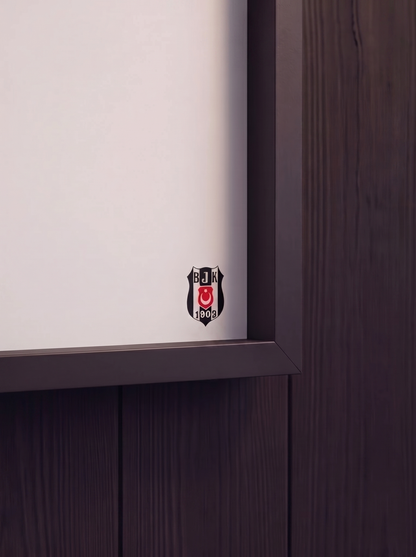 Siyah Beyaz 3 Boyutlu Tablo | Beyaz Kartal